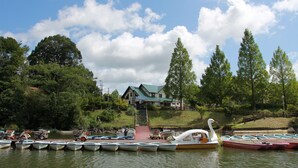 A lakeside dock with boats, a swan-shaped boat, and a building with a green roof.