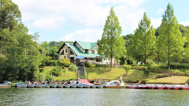 A lakeside property with a house, docked boats, and a wooden staircase leading to the house.