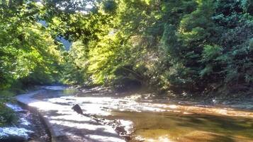 A river flowing through a forested area with a stone pathway alongside.