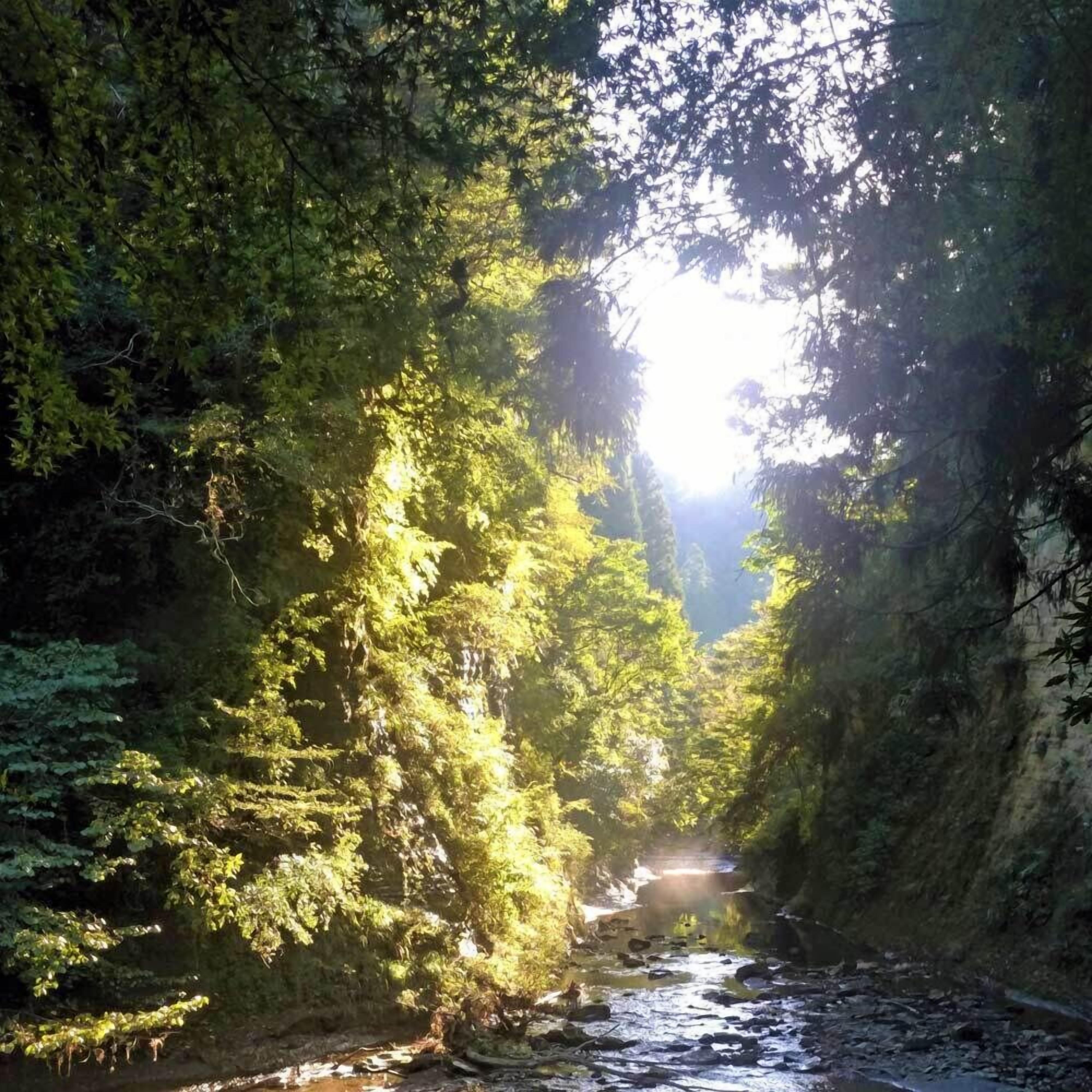 منوع