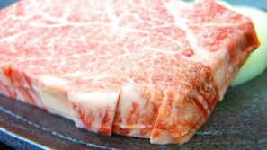 Alimentos y bebidas
