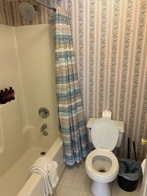 Douche, sèche-cheveux, serviettes fournies, shampoing