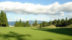 Een golfbaan met heldere lucht, groen gras en bomen.