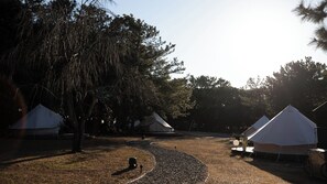 A campsite with tents, trees, and a gravel path. - Small Planet Camp & Grill (Chiba)