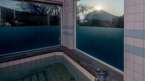 Pool - Forest Inn Chipmunk (Yamanakako)