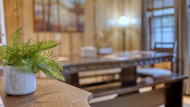 A wooden bench with a potted fern in a stone pot. - Mins to Fort Benning - The Columbus Cottage Guesthouse (Columbus)