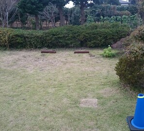 Un espace extérieur verdoyant avec deux jardinières rectangulaires et un objet bleu sur la droite.