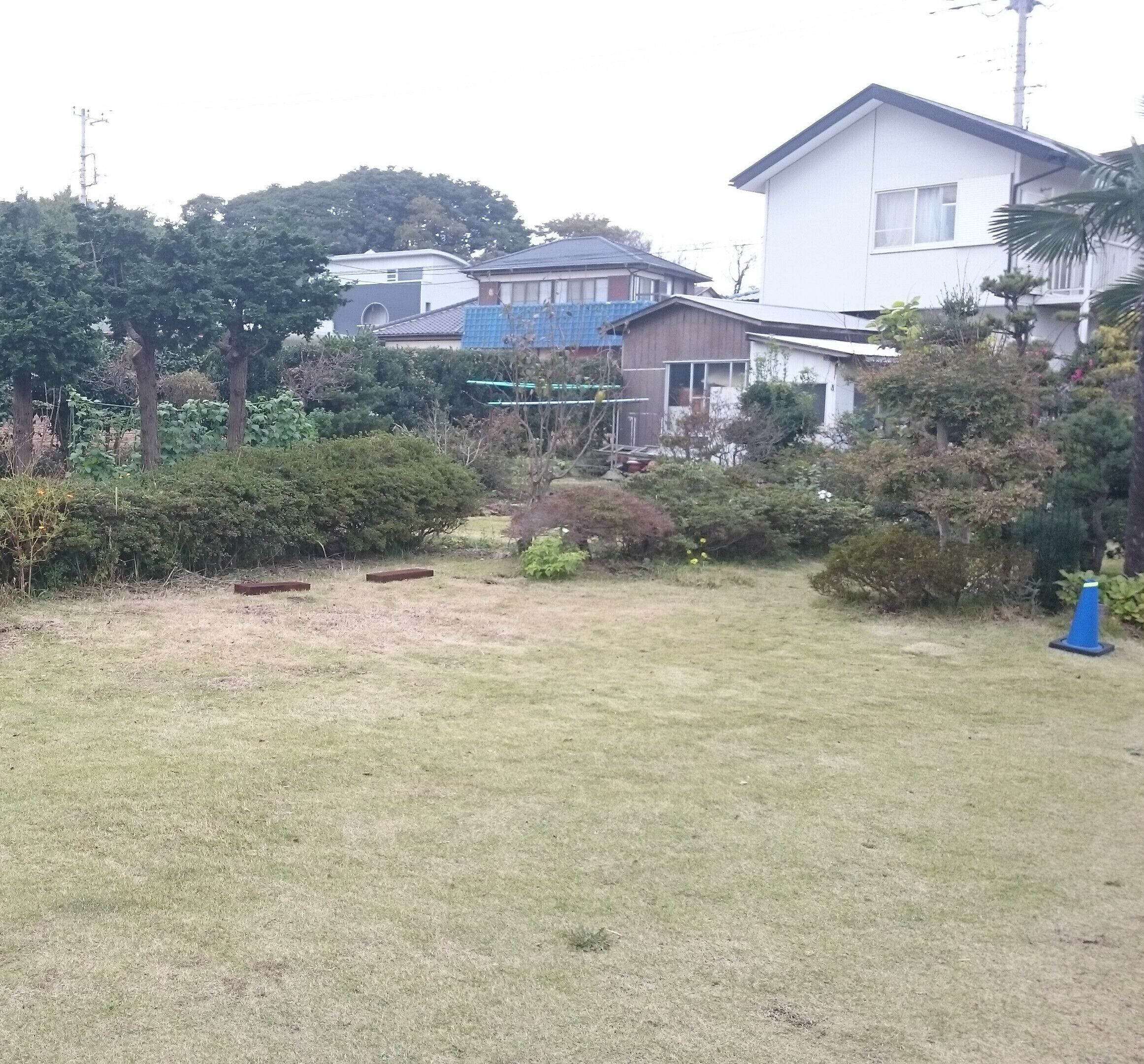 A residential area with houses, a grassy yard, and some trees.