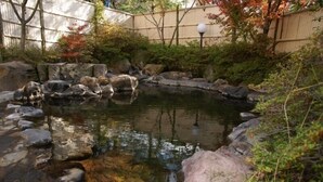 A small pond with rocks and foliage. - Gekko Onsen Kua Haimu (Koriyama)