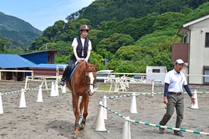 Miscellaneous - Horse Riding Club Amagi Horse Village (Kawazu)