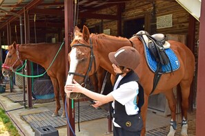 Miscellaneous - Horse Riding Club Amagi Horse Village (Kawazu)