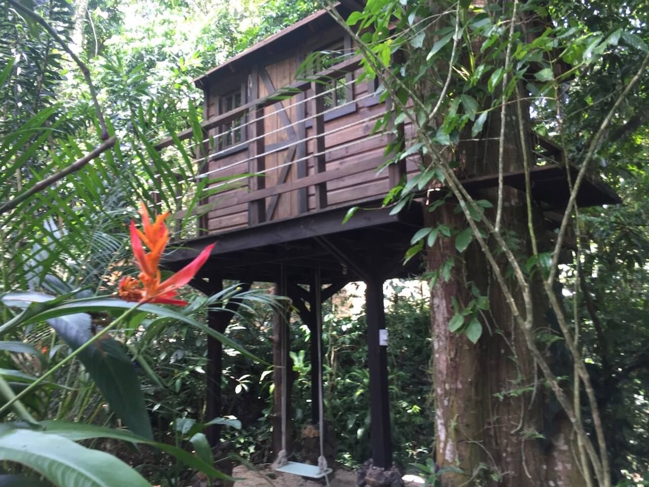 Une structure en bois dotée d’un balcon, entourée d’un feuillage dense et agrémentée d’une fleur rouge bien visible.