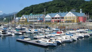 Un puerto deportivo con barcos amarrados, edificios coloridos al fondo y una colina boscosa.