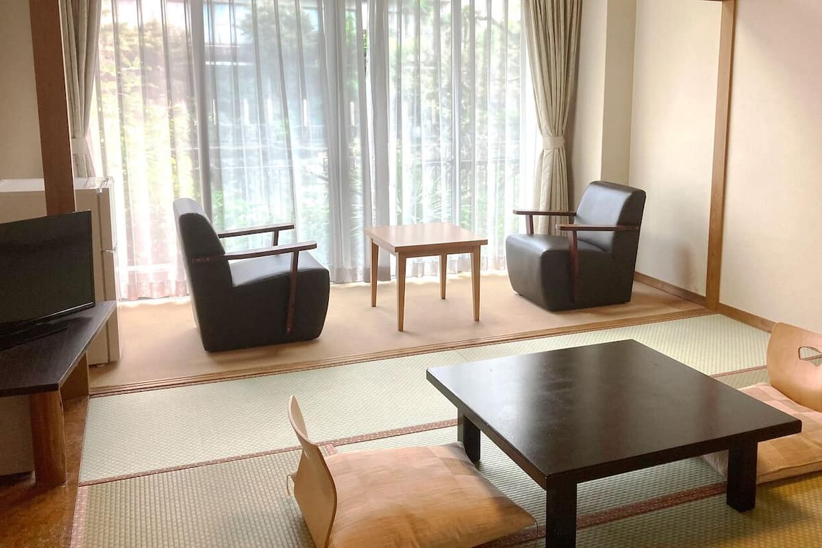 A room with tatami mats, a television, two chairs, a small table, and a view through sheer curtains.