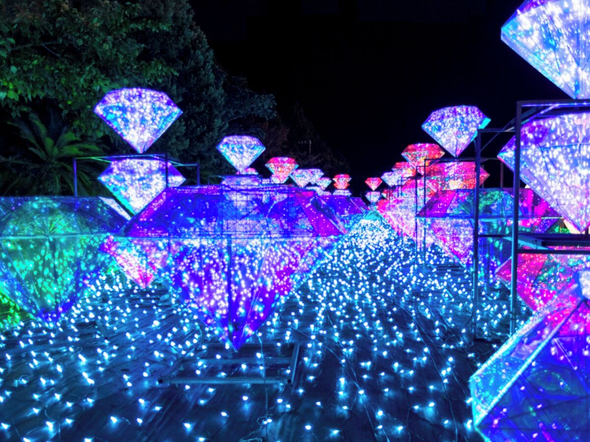 Un sendero bordeado por estructuras iluminadas, posiblemente parte de una instalación de luces o una atracción.