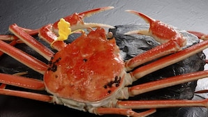 A crab on a dark surface.