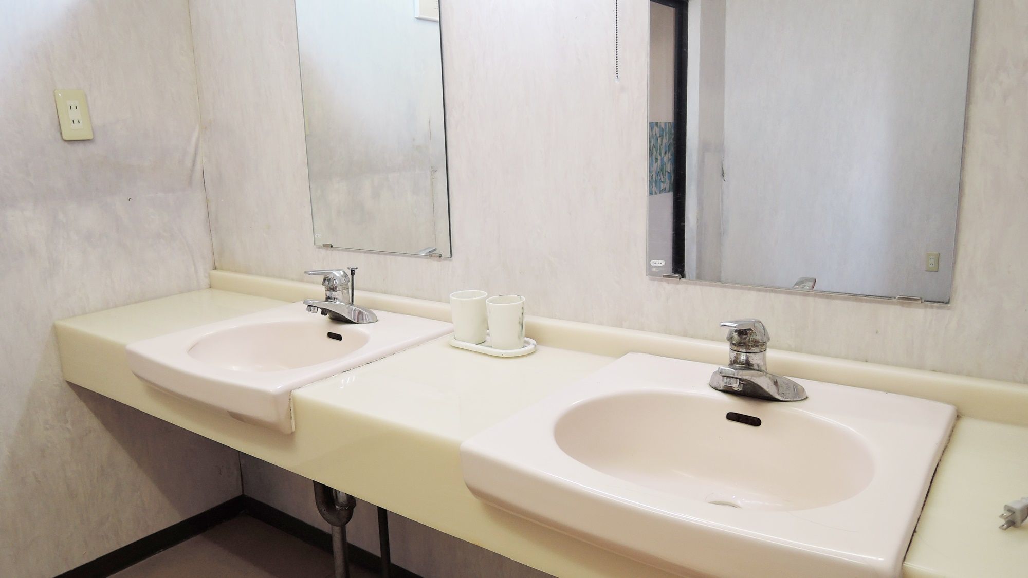A bathroom with two sinks, a mirror, and a towel rack.