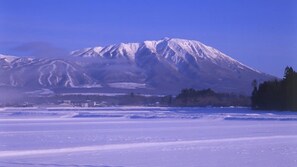 Unclassified image, 3 of 43, button - Oshuku Onsen Minshuku Akebonoso (Shizukuishi)