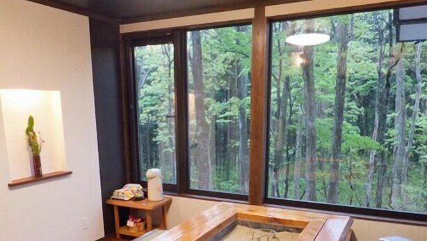 Une pièce avec une grande table en bois, une petite étagère ornée d’une plante et une fenêtre donnant sur une forêt.