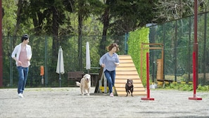 Property grounds - Izukogen Wanwan Paradice Hotel (Ito)