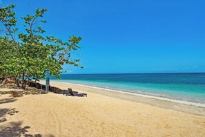 A beach with clear blue water, sandy shore, and lounge chairs under a tree. - ®{The~beach~condo} @Balcones del Atlantico (El Limón)