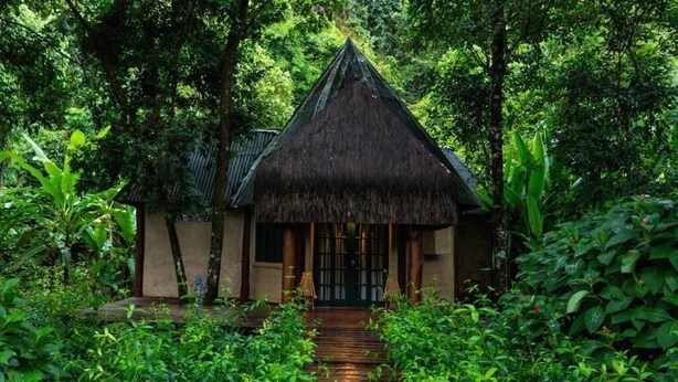 A thatched-roof structure surrounded by lush greenery.