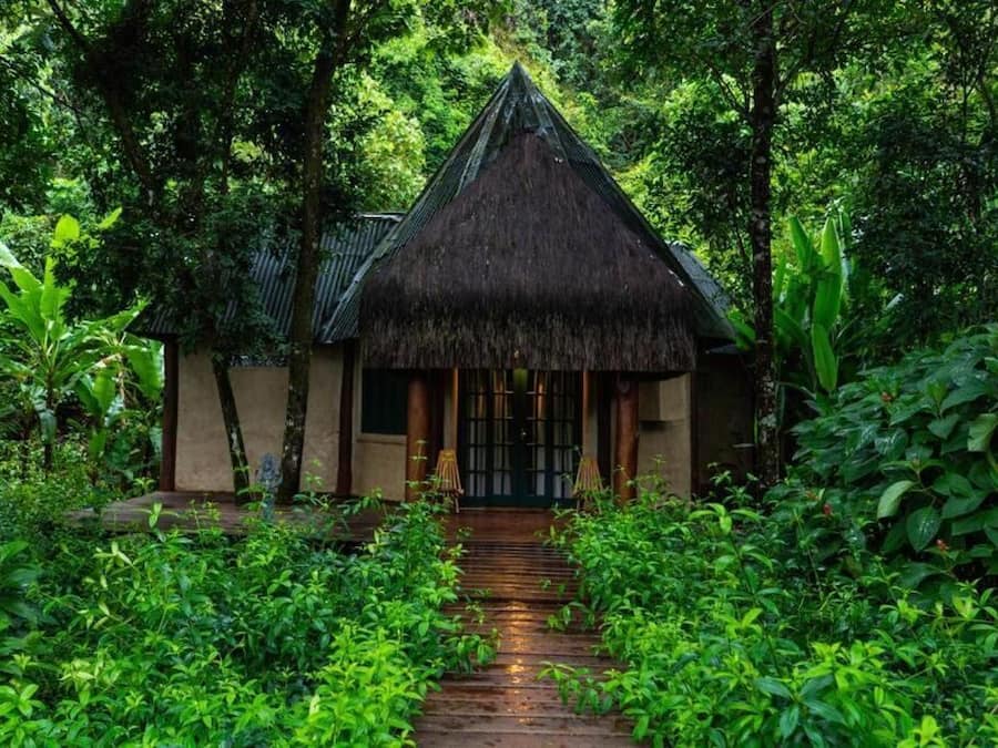 A thatched-roof structure surrounded by lush greenery.