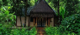 Fazenda Shanti