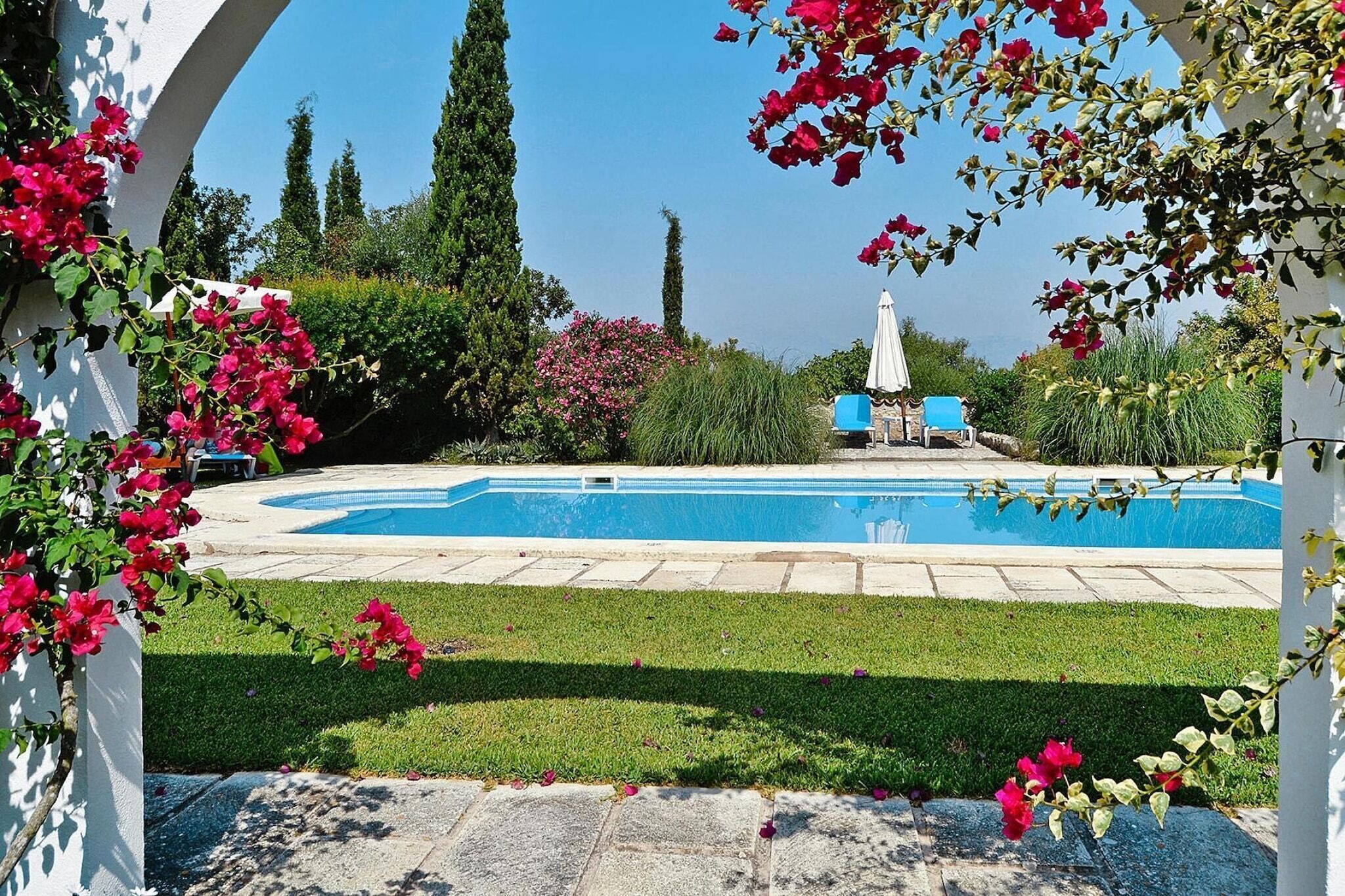 A swimming pool with a clear blue water surface, surrounded by a well-maintained lawn and various plants.