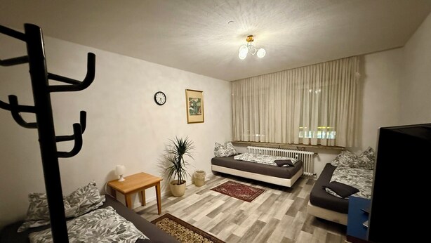 A compact living space with a bed, sofa, TV, and a small table with a plant.