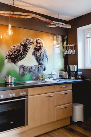 A kitchen with a modern design, featuring a wooden cabinet, a sink, and a stove.