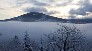 A snowy landscape with a mountain in the background and bare trees in the foreground.