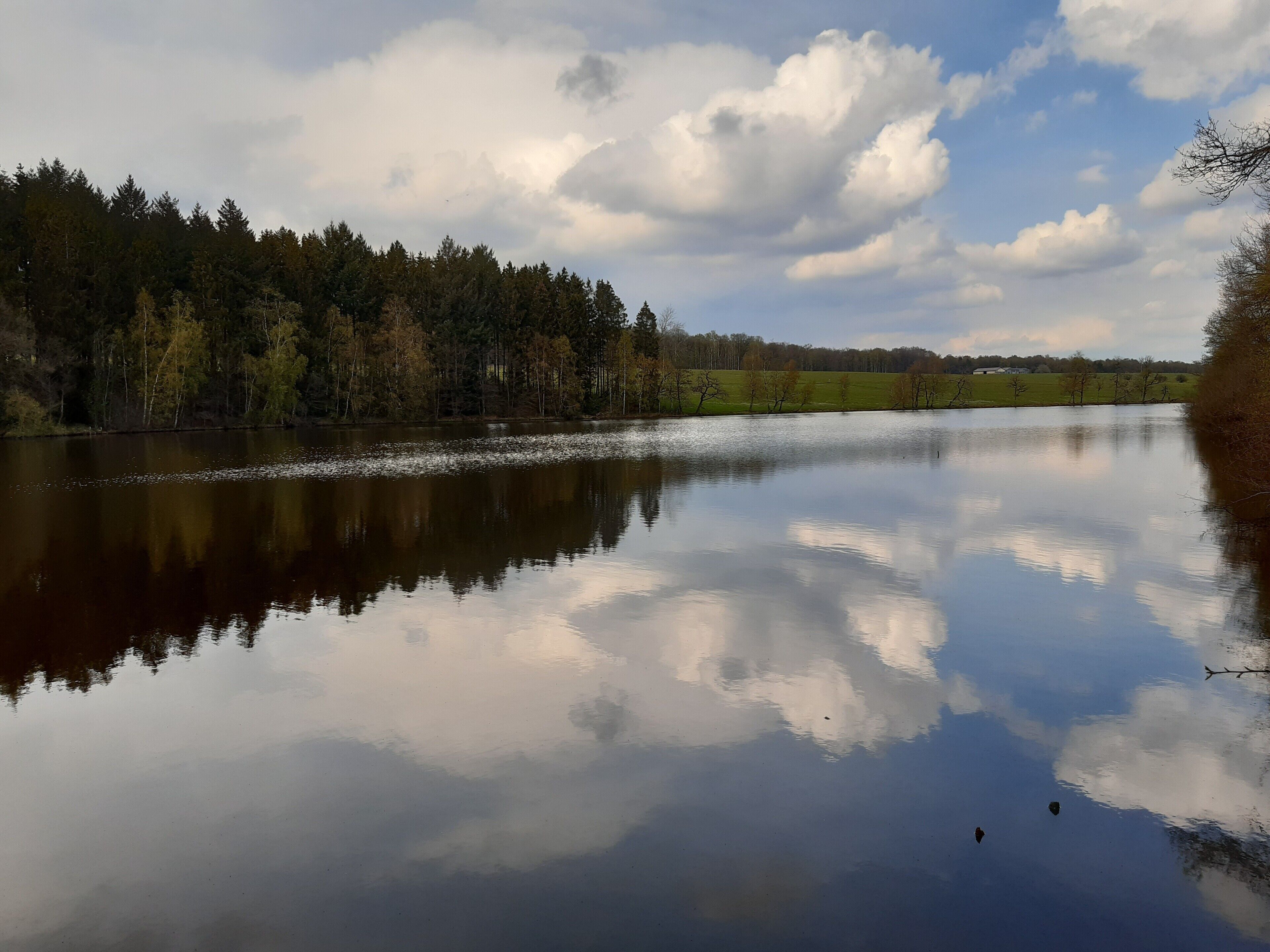 Un lac paisible, bordé d’une forêt et surplombé d’un ciel dégagé.