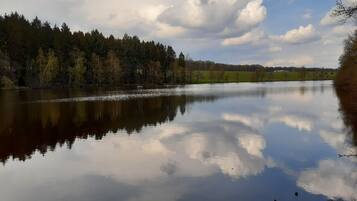 Un lac paisible, bordé d’une forêt et surplombé d’un ciel dégagé.