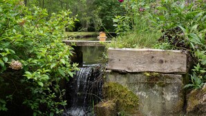 Eine rustikale Holzbrücke über einem kleinen Wasserfall, umgeben von üppiger Vegetation und einem Vogelhäuschen.