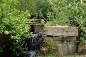 Un puente de madera rústico sobre una cascada pequeña, rodeado de vegetación exuberante y un comedero para pájaros.