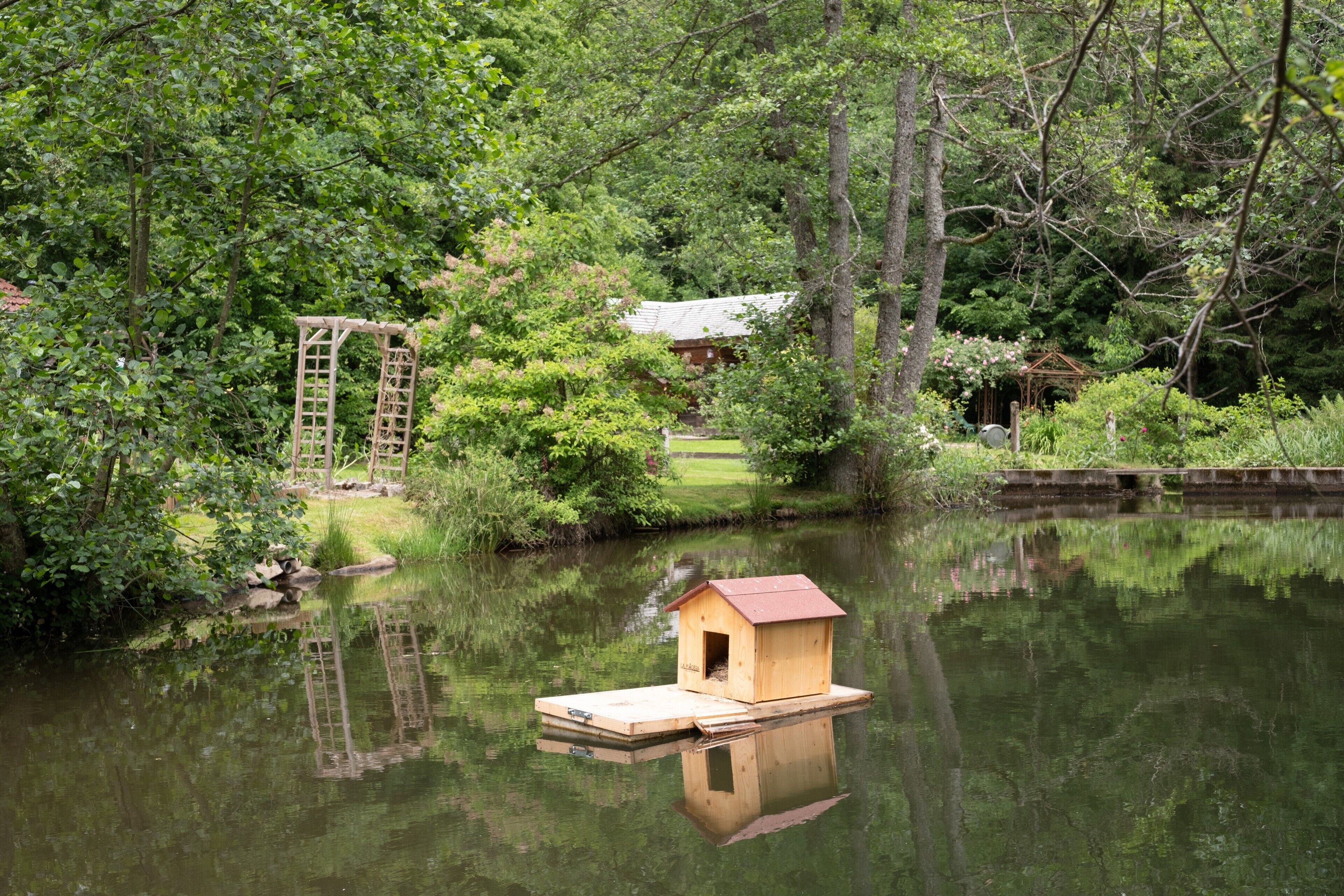 A wooden birdhouse on a floating platform in a pond, surrounded by lush greenery and trees.