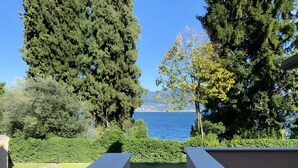 Vista de una zona costera con árboles y cielo despejado.