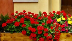Una jardinera de madera con flores rojas y amarillas, una ventana y una puerta con un letrero de número.
