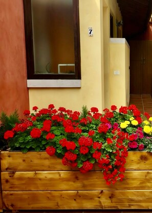 Ein Holz-Pflanzkasten mit roten und gelben Blumen, ein Fenster und eine Tür mit einer Nummer.
