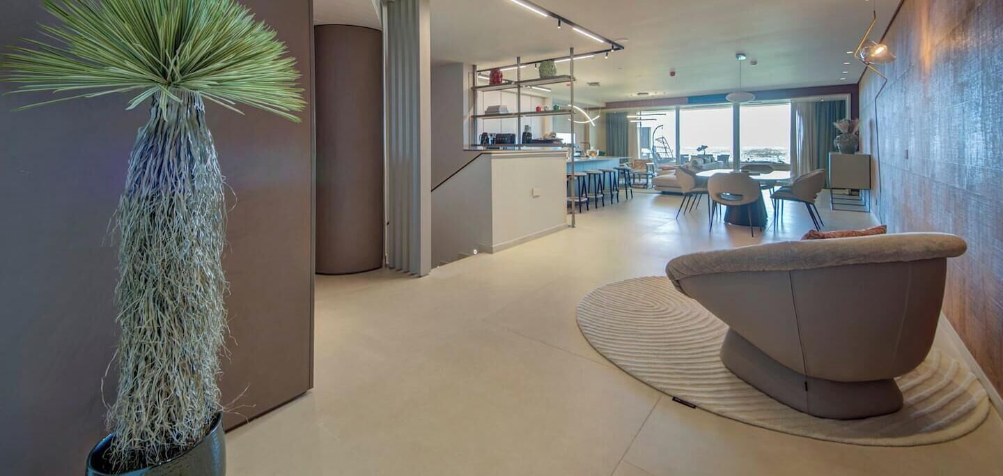 A modern interior with a kitchen, dining area, and a large potted plant.