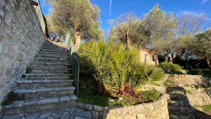 Eine Steintreppe führt zu einem Gebäude, umgeben von Olivenbäumen und viel Grün.