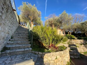 A stone staircase leading up to a building, surrounded by olive trees and greenery. - "Moo Graugh Hoo" Villa (Châteauneuf-Grasse)