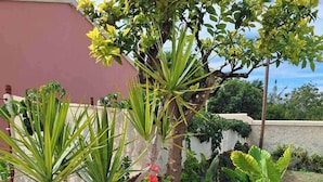 Ein Garten mit Topfpflanzen, einem Holzzaun und einem Gebäude im Hintergrund.