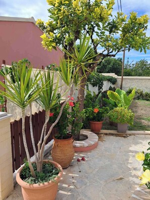 A garden with potted plants, a wooden fence, and a building in the background. - Krista House is a unique family home in a perfect location for a beach holiday. (Agios Giordios)