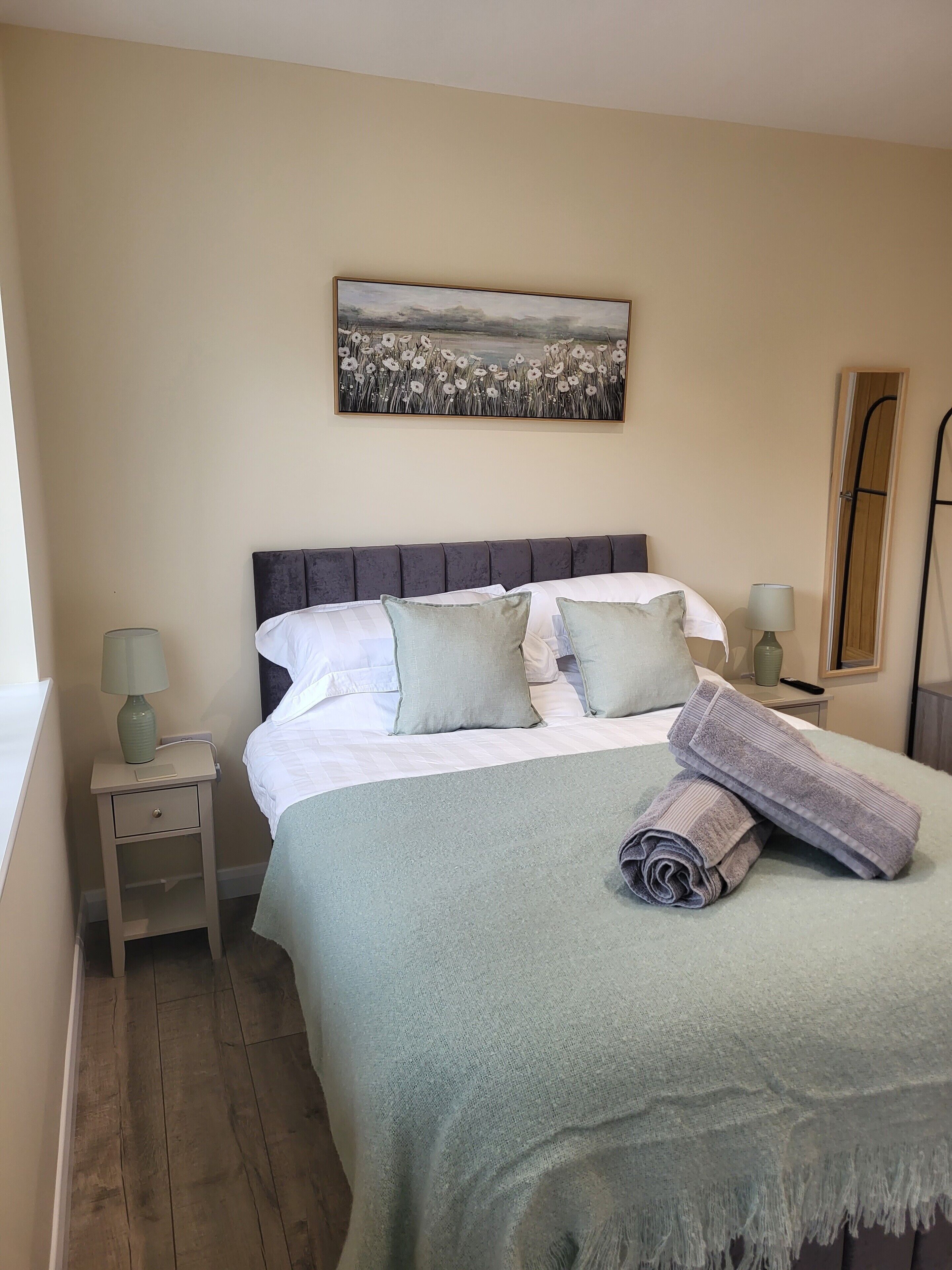 Double Room (Hairy Dog)