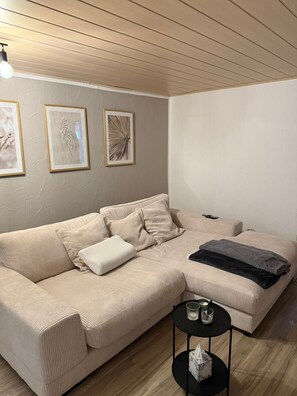 Fernseher