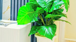 Un radiateur blanc, un mur à rayures et une plante verte dans un pot blanc.