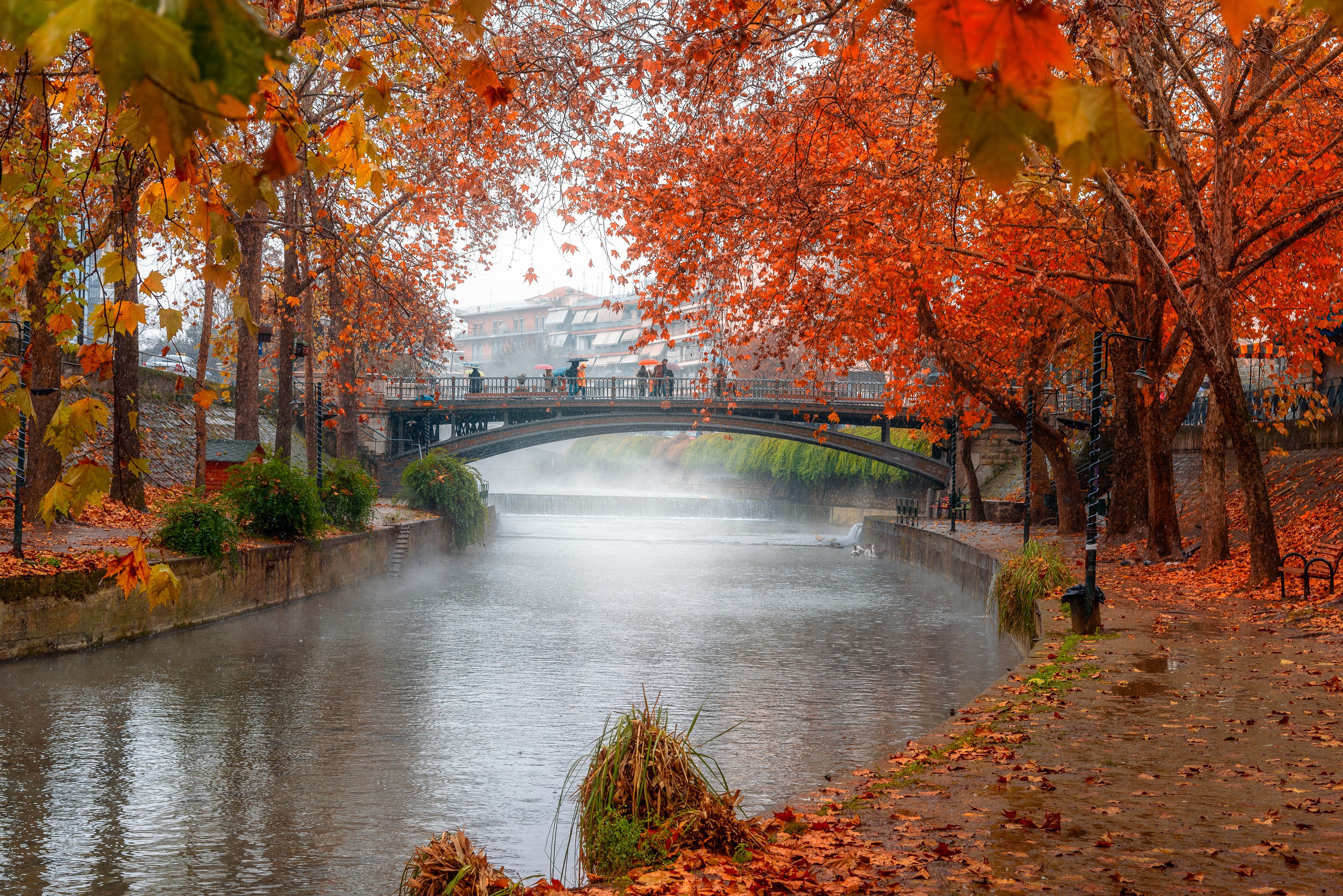 Un río con un puente, rodeado de árboles con hojas otoñales, y un paisaje urbano al fondo.