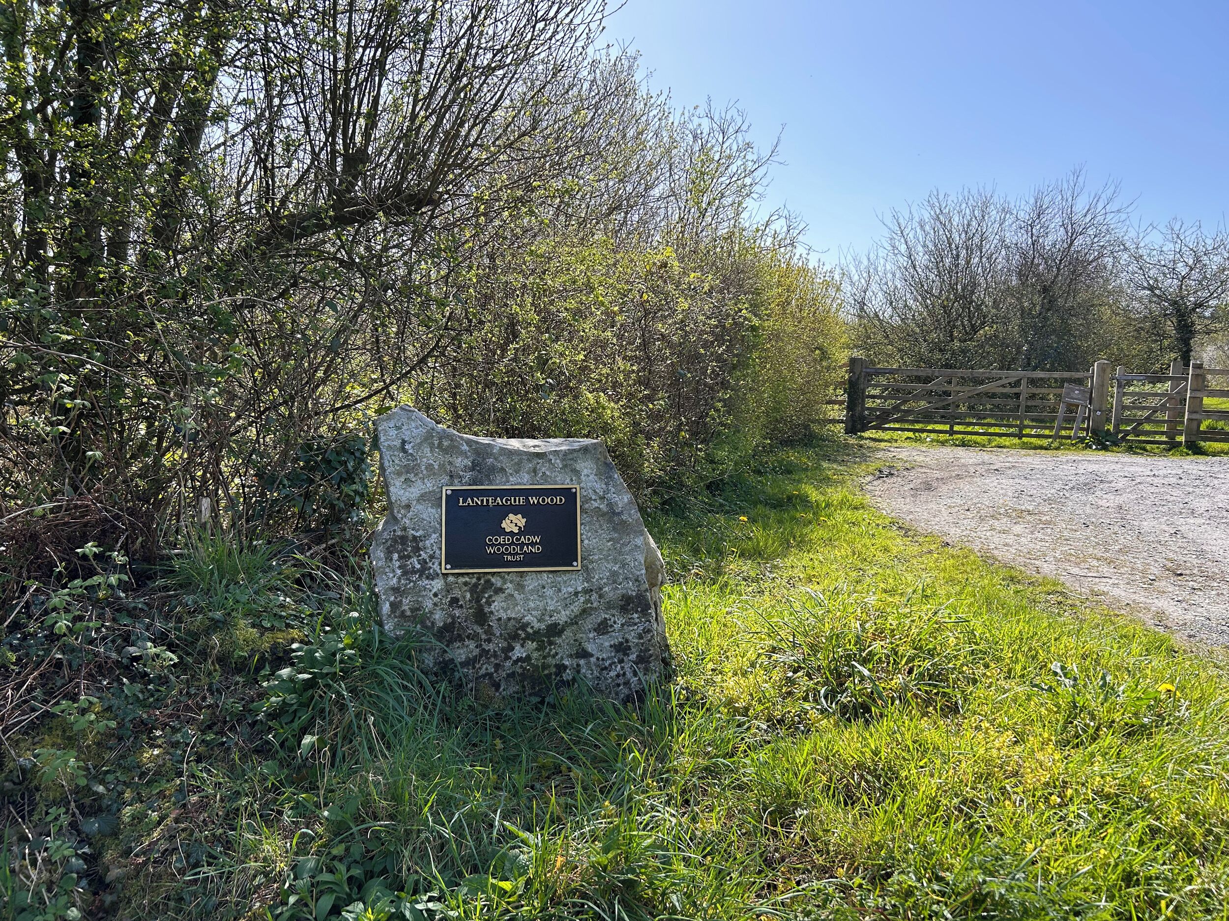 Cottage | Property grounds